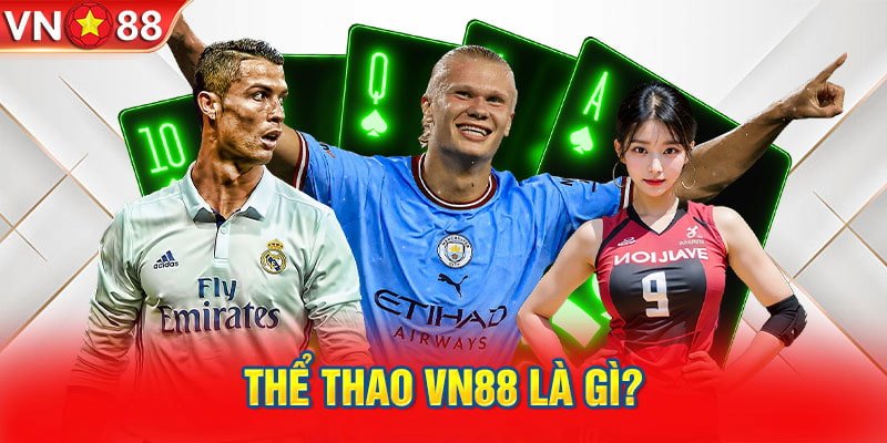 Thể Thao – Đam Mê Bất Tận Của Người Hâm Mộ